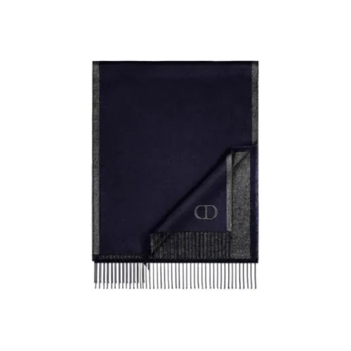 DIOR Шелковые шарфы Синий Мужской