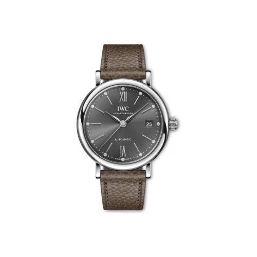 IWC Автоматический Механический Movement Женские Часы Baotai Fino Series 37 мм Серые
