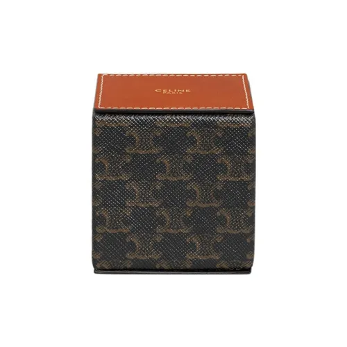 CELINE Triomphe Холст Телячья кожа Town Сумка Коробка Аксессуар Женский Коричневый