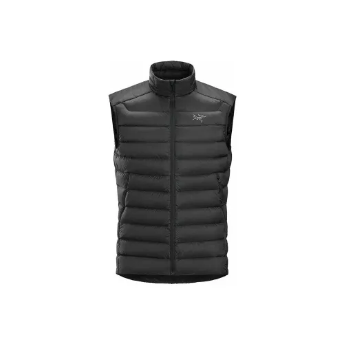 Arcteryx Cerium Мужской пуховый жилет