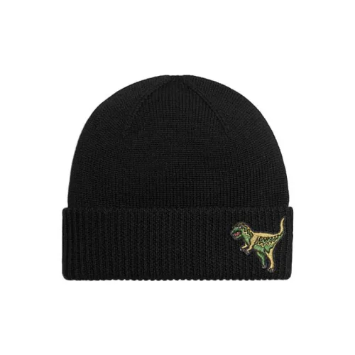 COACH Шерсть Бини Унисекс Черный