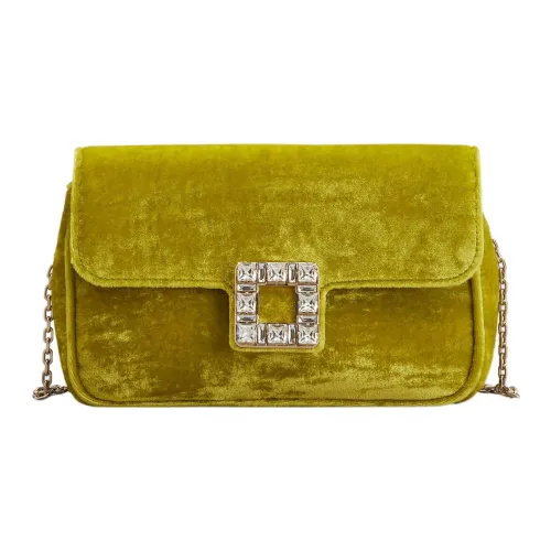 Roger Vivier Вельвет Сумка через плечо Клатч Женский Зеленый