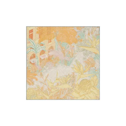 HERMES Faubourg Шелковые шарфы для женщин