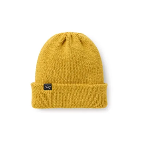 Arcteryx Полиэстер Wool Beanies Мужской