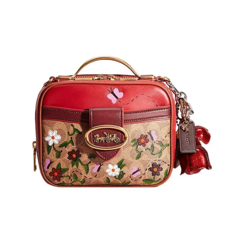 COACH Riley Холст Цвет Дубленая Кожа Обеденная Коробка Сумка через плечо Сумка через плечо Маленькая Женская Коричневая