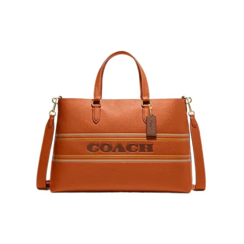 COACH Logan Коровья кожа Сумка через плечо Сумка Большая Женская Каньон Патина