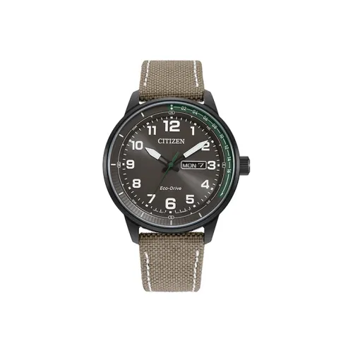 CITIZEN Ecology Drive Collection Светильник Кварцевый механизм Часы Унисекс Циферблат часов Кофейный