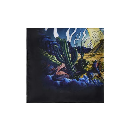 CASABLANCA Шелковые шарфы Синий Мужской