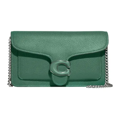 COACH Tabby Пескоструйная кожа Одно плечо Через плечо Клатч Маленький Женский Зеленый
