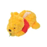 Шанхайский Диснейленд