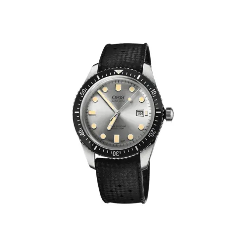 Oris Механический механизм Мужские часы Часы 42 мм Серебристый циферблат Стальной корпус часов Резиновый ремешок