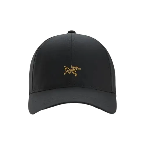 Arcteryx Хлопок Кепки Унисекс Черный