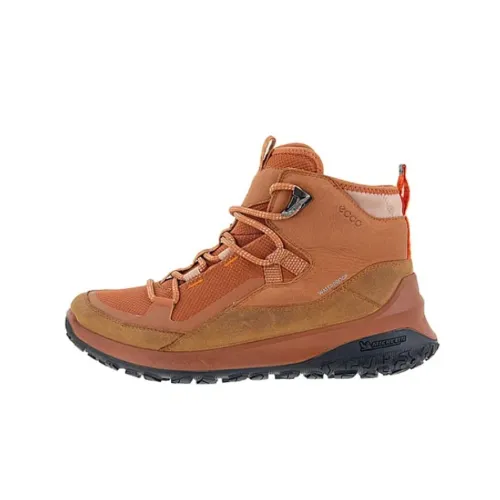 Ecco Casual Высокий Топ Тыква Коричневый Женский