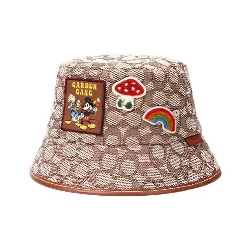 COACH Шляпы ведра Коричневый Унисекс