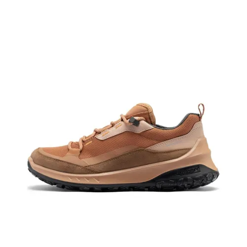 Ecco Oude Tocht Коллекция Низкий Топ Спортивная Повседневная Обувь Женская Тыква Коричневый