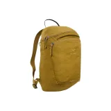 Желтый цвет опавших листьев