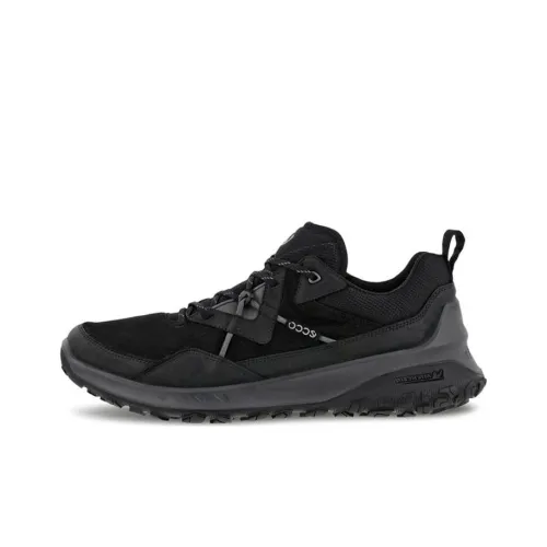 Ecco Низкий Топ Casual Мужской Черный