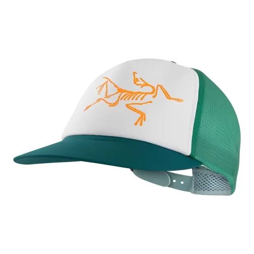 Arcteryx Полиэстер Кепки Женские Многоцветный