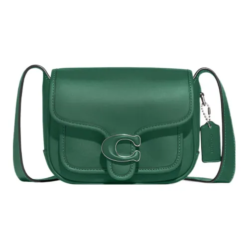 COACH Tabby Дубленая кожа Сумка через плечо Маленькая Женская Зеленая