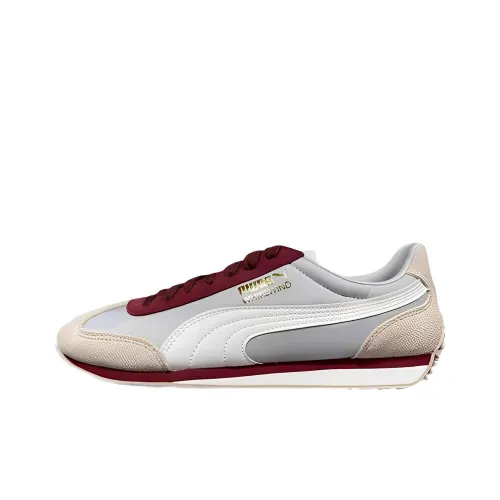 PUMA Whirlwind Беговые кроссовки Низкий Топ Мужской