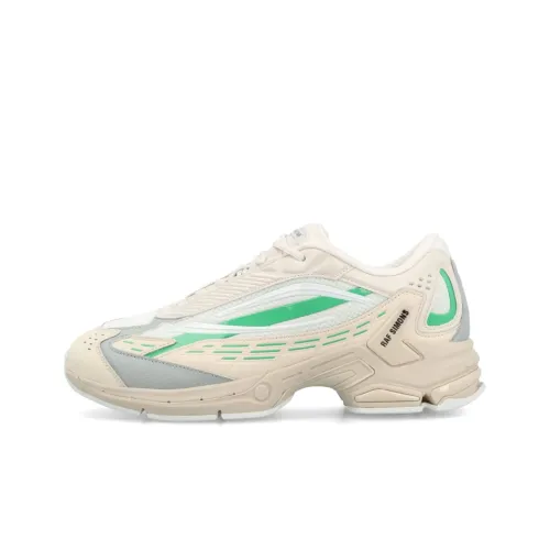 RAF SIMONS Повседневный Низкий Топ Мужской