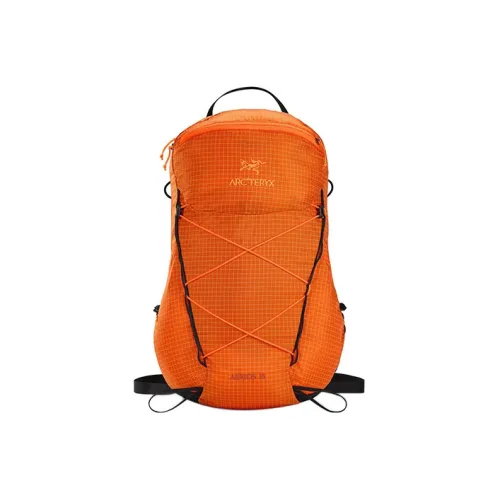 Arcteryx Туристические сумки Мужской