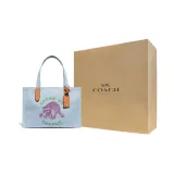 Сумка + Пылезащитный мешок + Желтая коробка