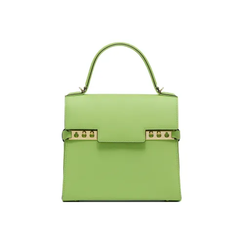 Delvaux Сумки Женские
