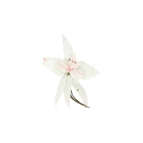 GUCCI Броши Белый Женские