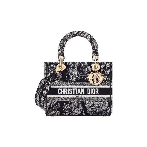 DIOR LADY D Лайт Вышивка Сумка Lady Dior Сумка через плечо Сумка среднего размера Женская Черная