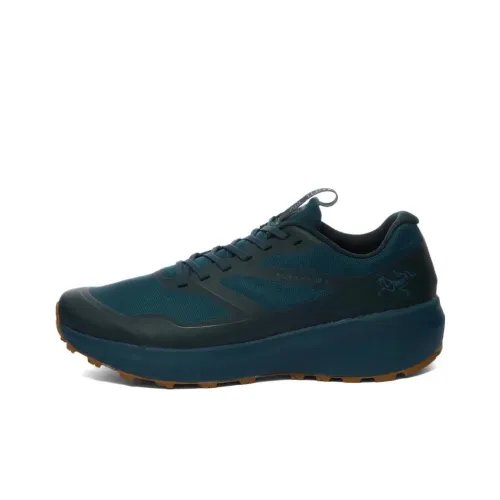 Arcteryx Norvan Ld 3 Беговые кроссовки Низкий топ Мужской