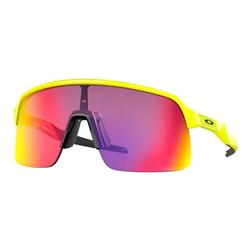 Oakley Солнцезащитные очки Фиолетовый Унисекс