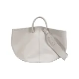 Абрикосовое семя