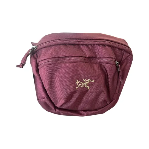 Arcteryx Туристические сумки Полиэстер Темный Малиновый Фиолетовый Унисекс