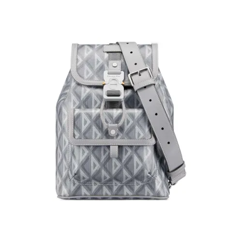 DIOR Hit The Road Холст Сумка через плечо Сумка на плечо Мужская DIOR Серый