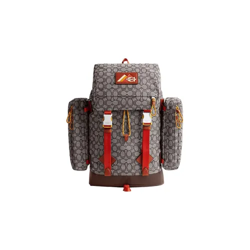 COACH Телячья кожа Ткань Дорожная сумка Рюкзак Большой Мужской Серый