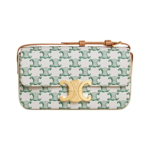 CELINE Triomphe Холст и Кожа Сумка через плечо Женская