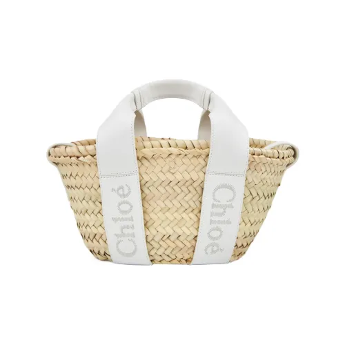 Chloe Фетровая гладкая телячья кожа через плечо сумка маленькая женская кристальная белая