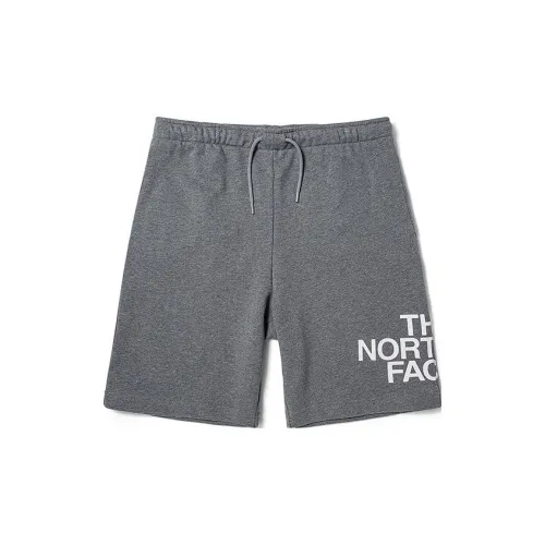 The North Face Серые Мужские Спортивные Шорты