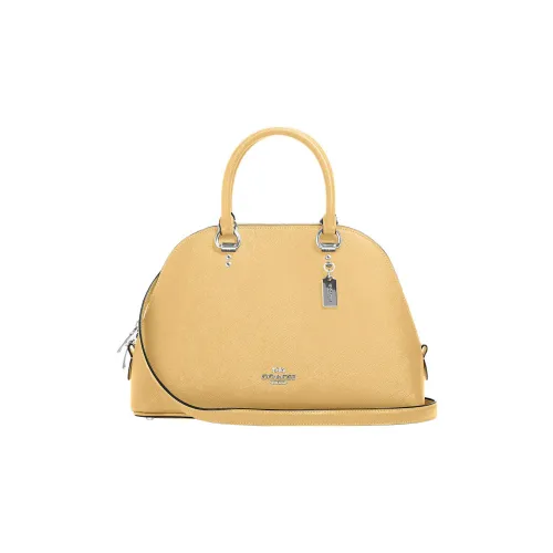 COACH Katy Крестообразная текстура Кожа Сумка-купол Сумка Большая Женская Желтая