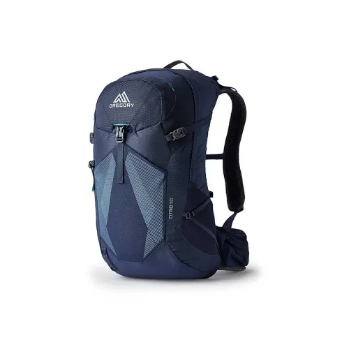 GREGORY 30L Туристические сумки Нейлон Многоцветный Мужской