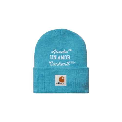 Carhartt WIP Шапки-бини Blue Unisex