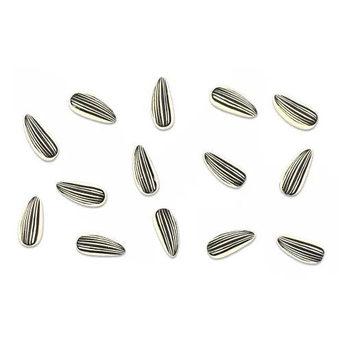 US8ACC Обувь Пряжка Аксессуары Унисекс