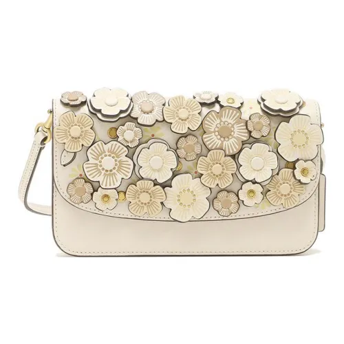 COACH Hayden Кожа Конверт Сумка через плечо Маленькая Женская Белая