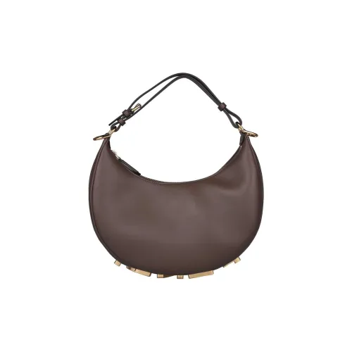 FENDI fendigraphy Сумка из коровьей кожи плечо сумка через плечо женская коричневая