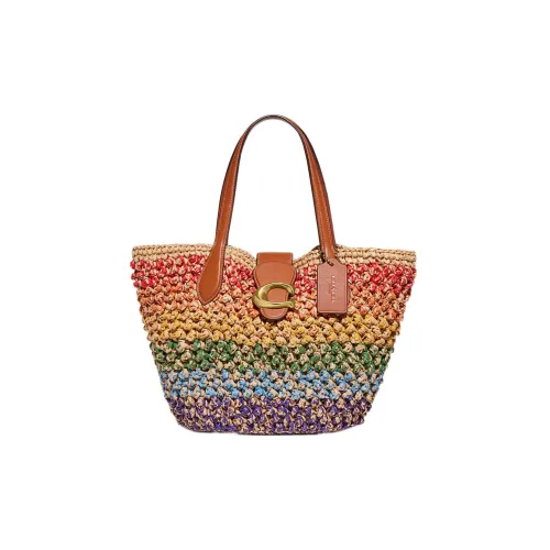 COACH Тканая соломенная кожаная сумка-тоут сумка для покупок корзина сумка маленькая женская радужная
