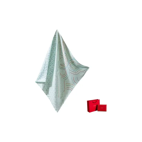 WENSLI Шарфы из тутового шелка для женщин