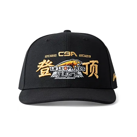 LINING CBA Collection General Champion Кепки Унисекс Черный