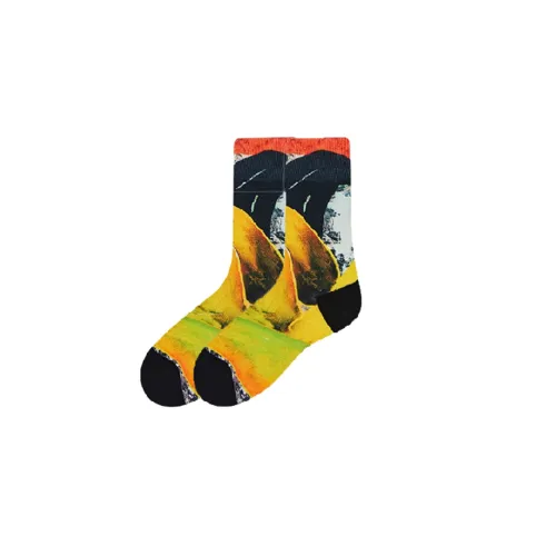 ALMOND ROCKS Capsule 1 шт Коллаборация Носки By HOU Zichao Унисекс MID Носки до икры