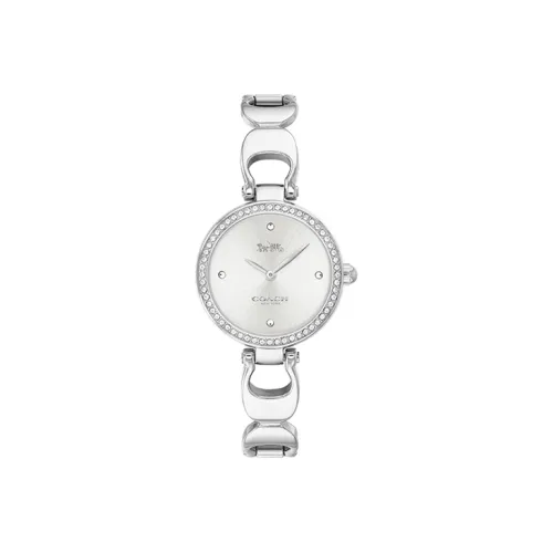 COACH Park Collection Женские часы Кварцевый механизм Ремешок из нержавеющей стали Серебристый циферблат